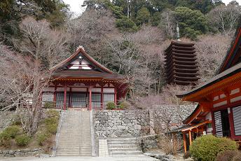 P1010873.JPG