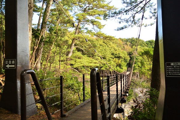 橋立吊り橋