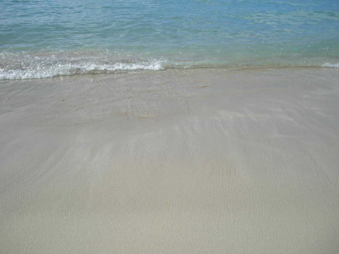 気ままなphoto studio