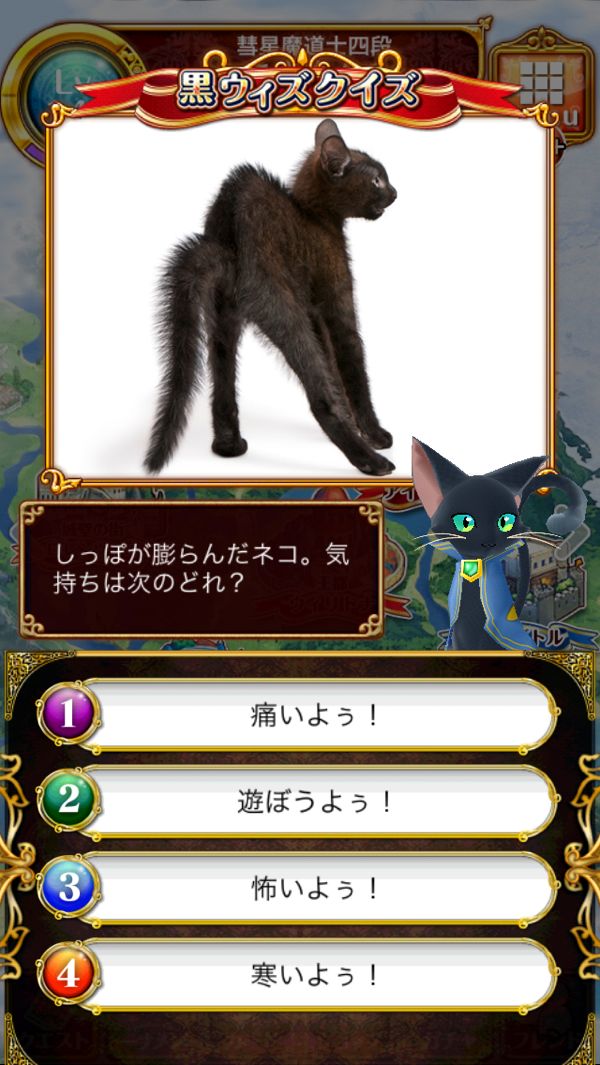 黒猫のウィズ 黒猫のウィズ さゆゆのゲーム日記 黒ウィズクイズ ブログ内検索は さゆゆ スペース文字検索でおねがい 楽天ブログ