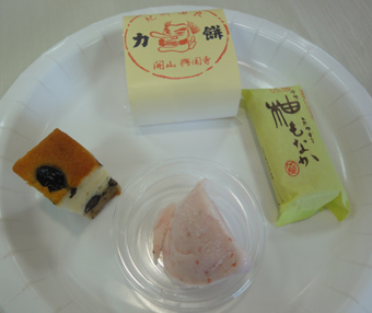 DSC04813.JPG
