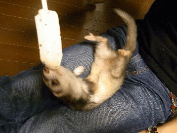 アイスの美味しい食べ方　その2