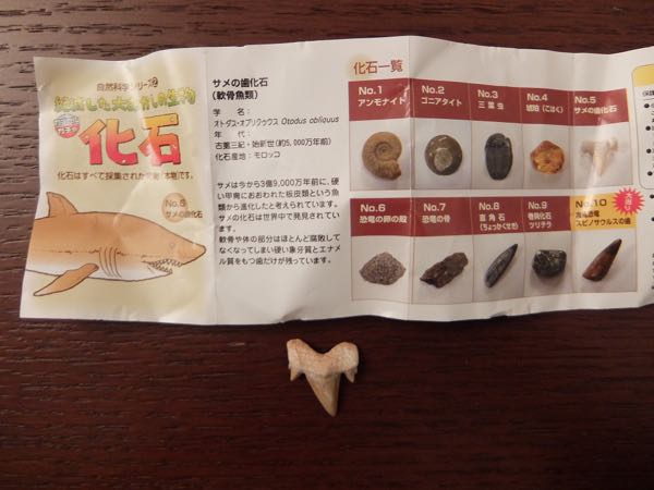 rblog-20161001223911-01.jpg