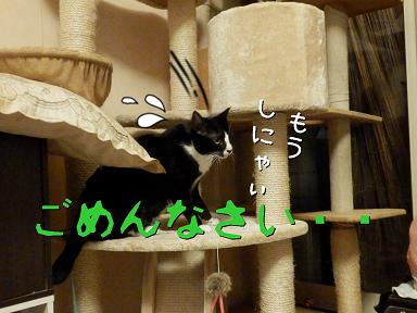 ごめんなさい.JPG