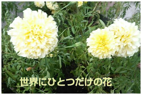 rblog-20160806130531-00.jpg