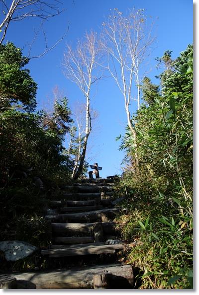 栂池自然園-47 階段を上って 15.10.2