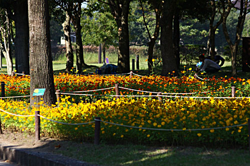 木曽三川公園　26.9.22-1.jpg