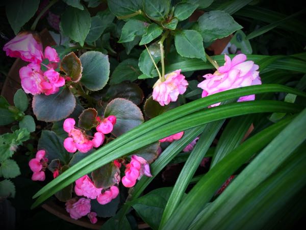 rblog-20160630184304-05.jpg
