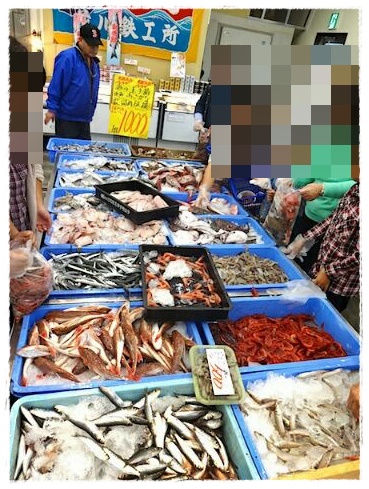 魚