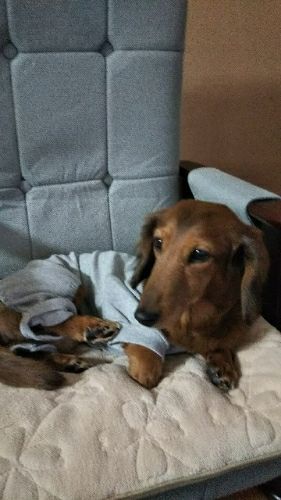 rblog-20180316112931-00.jpg