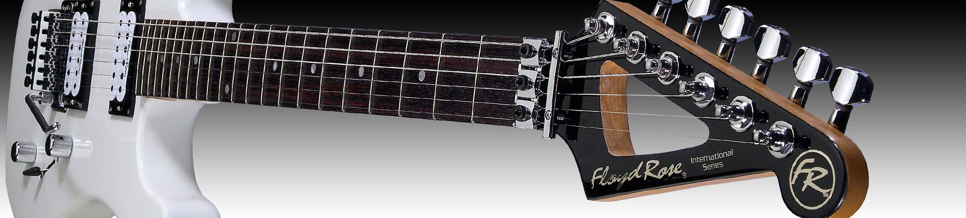 FR_guitar_tremolo11.jpg