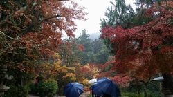 第5回? 早朝ウォーキング_7120.jpg