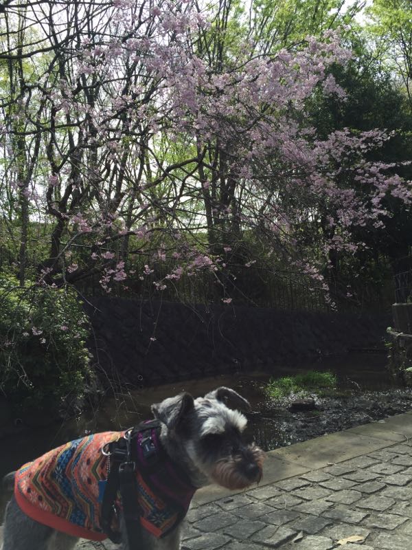 rblog-20160410014113-03.jpg