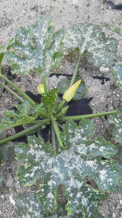 2012062919000000.jpg