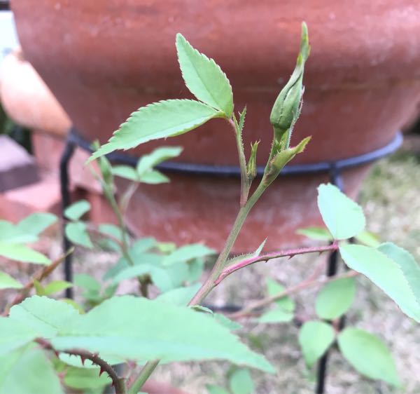 rblog-20180405182739-04.jpg