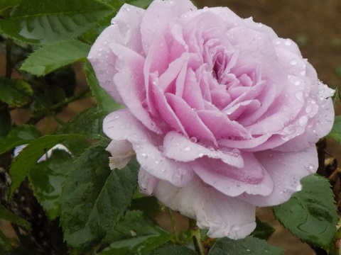 DSCN3843.JPG