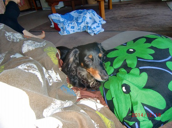 天皇誕生日 006.jpg