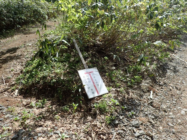 P5273329分岐.jpg