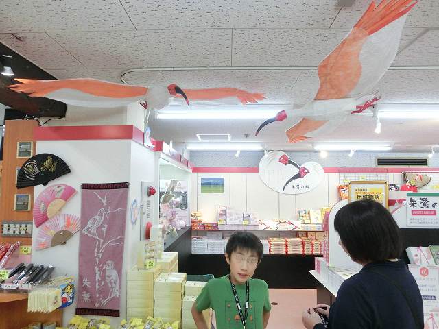 Cimg0349.jpg