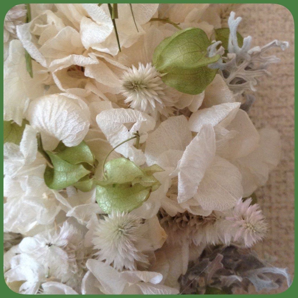 作ったドライフラワーを漂白してみました 可愛い花のひとり言 楽天ブログ