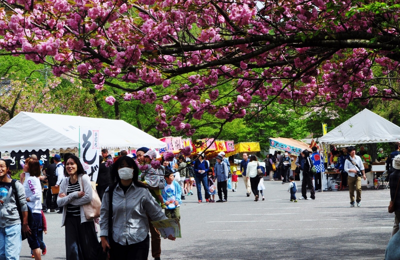 D・桜祭りにて.jpg