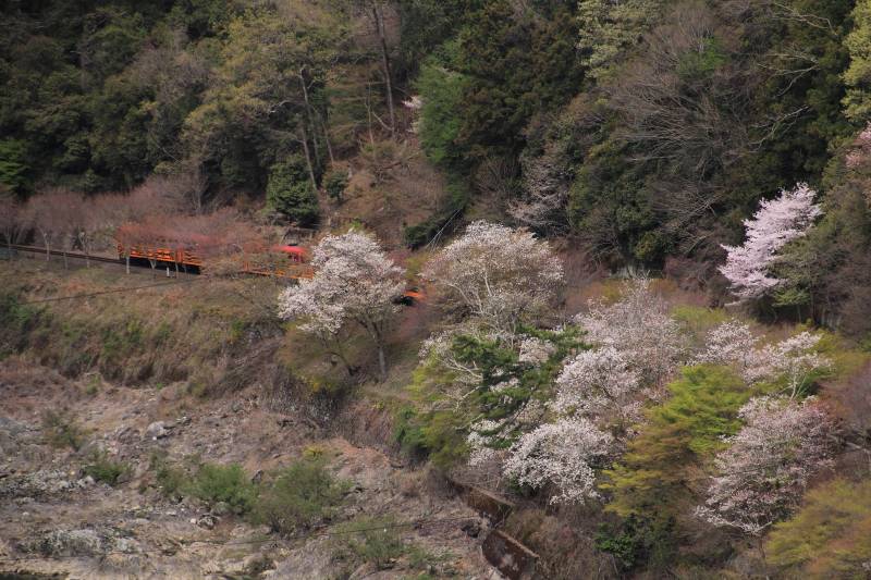 亀山展望台（第一）_004.jpg