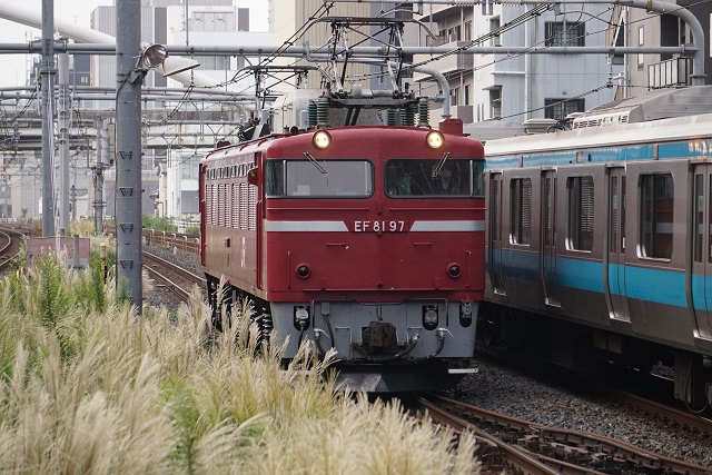 185系 修学旅行と回送の 離合2