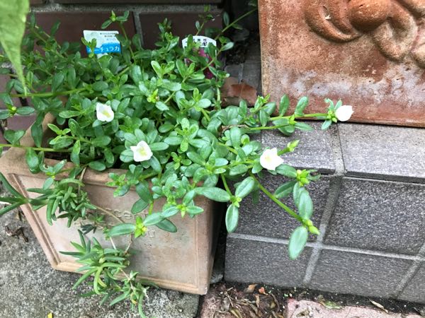 rblog-20180624175618-02.jpg