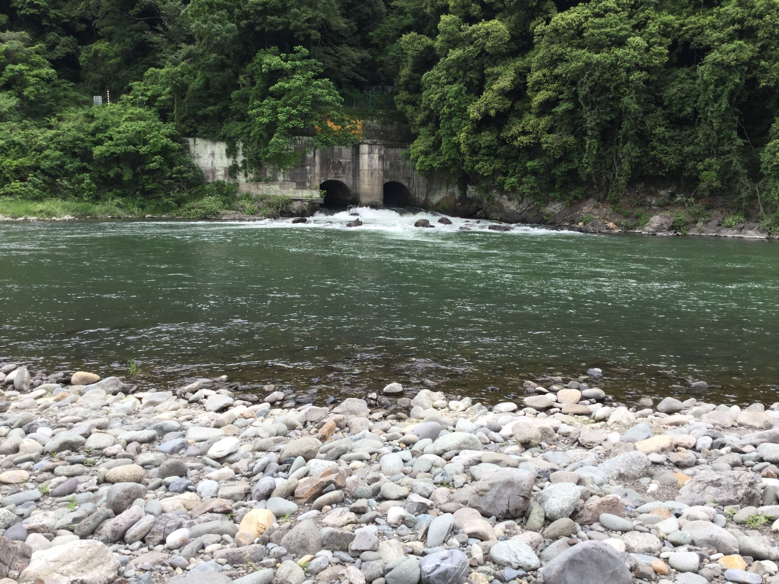 新着記事一覧 生涯ドブ釣り 楽天ブログ