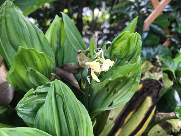 rblog-20180429182455-00.jpg
