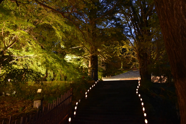 国宝富貴寺　ライトアップ3