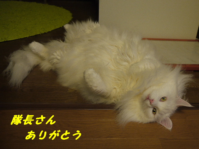 P1210556.JPG