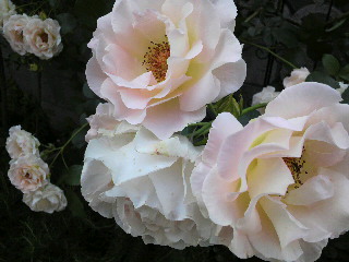 2012-04-20 10:12:47