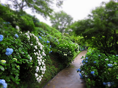 IMG_2166.jpg