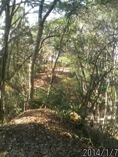 笠間城土塁の上２
