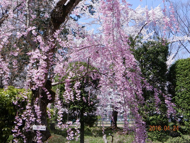 DSCN9877.jpg