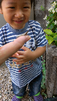 rblog-20131002084238-04.png