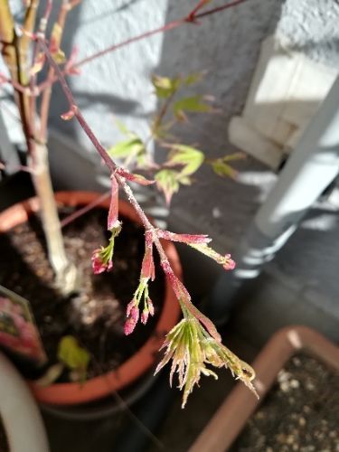 rblog-20180330095200-03.jpg