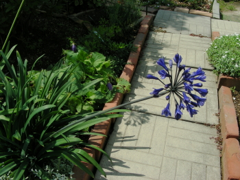 8.12sora&aba (1).JPG