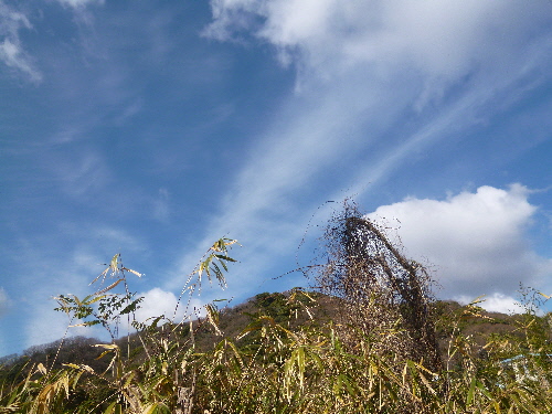P1080416(1).JPG