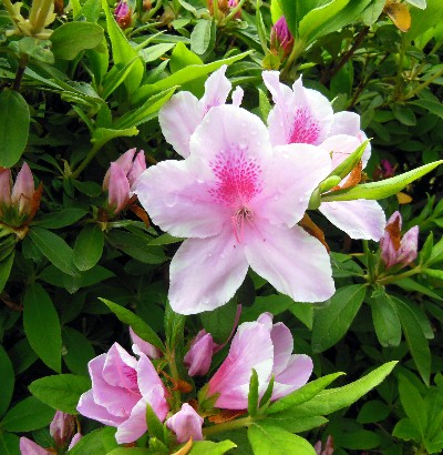 DSCN2232.JPG