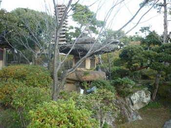 P1030466.JPG