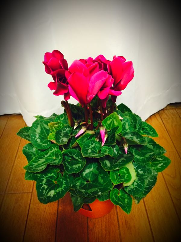 rblog-20151018202502-01.jpg