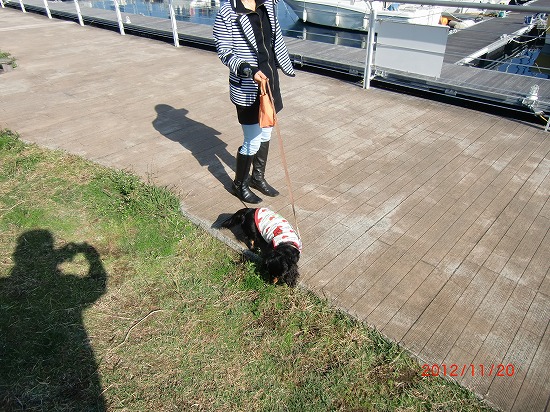 大道芸（猿廻し） 020.jpg