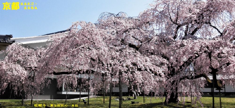 京都　ええとこ・ええもん