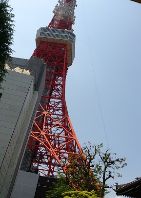 DSC_0215.jpg