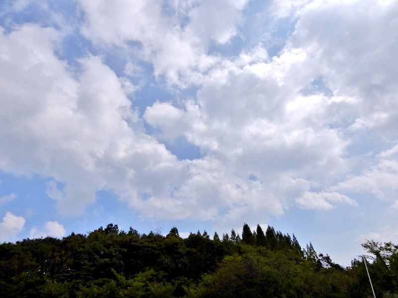 空2