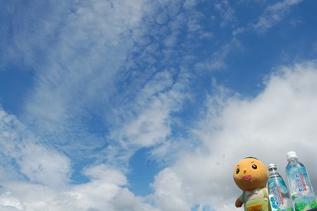 s-DSC_0451.jpg