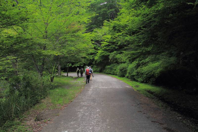 川迫川_004.jpg