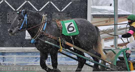 20140126Ob1R3yo_C-1_06